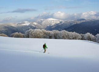 Wintersport in Duitsland © DZT, Susanne Bayer, Schwarzwald Tourismus