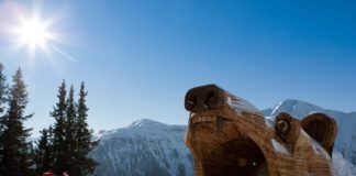 de beste skigebieden voor families in Tirol